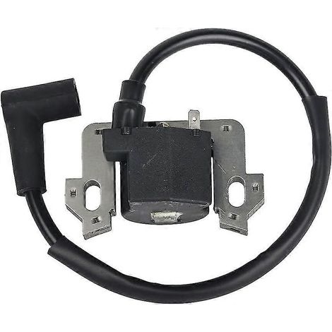 Module de bobine d'allumage neuf, remplace les modèles Gcv135, Gcv160, Gcv190 et Gsv160. (1/4)