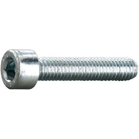 Vis Tête Cylindrique Hexagonale Creuse Acier 6x50 - INVENTIV