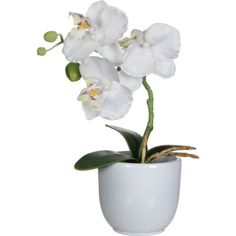 Mica Kunstpflanze Phalaenopsis im Topf weiß, 26 x 12 cm Kunstpflanzen