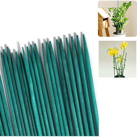 50 pièces de tuteurs de croissance de plantes de 30 cm de long, bâtons de bambou, adaptés au jardinage, à la composition florale, à la serre (1/5)