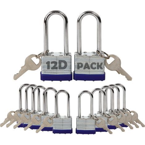 Pack de 12 cadenas à clé identique Anse extra longue Corps en acier laminé 40 mm Antirouille pour casiers et portails (1/5)