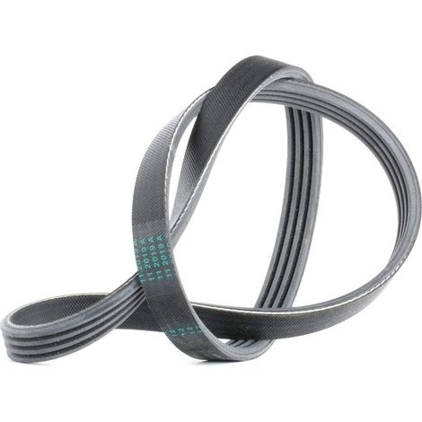 Cinghia multi-nervata CONTITECH 4 PK 775 (1/3)