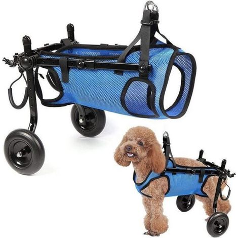 Fauteuil roulant pour pattes arrière - Pneus tout-terrain améliorés pour petit chien - Fauteuil roulant réglable pour chien(S) (1/5)