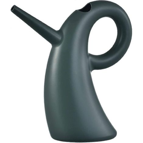 Mini arrosoir en métal, douche de jardin avec poignée, petit arrosoir portable et moderne pour plantes succulentes, bonsaïs et fleurs de jardin. (1/5)
