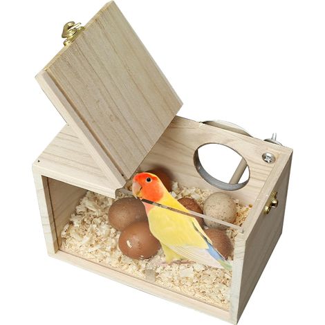 Nichoir pour perruches, trou gauche pour élevage d'oiseaux, en bois, design transparent, pour perruches, perroquets (12 x 12 x 19,5 cm) (1/5)