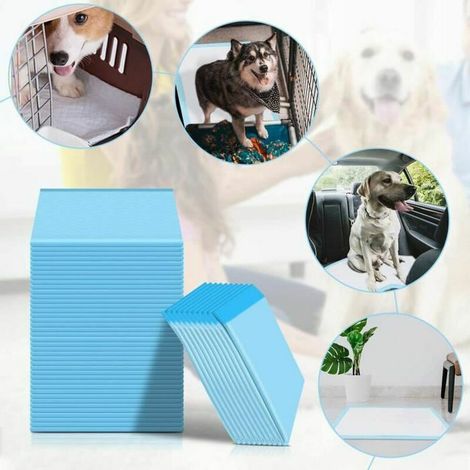 royaluxe - Tapis de propreté tapis d'apprentissage de chien Lot de 100 Tapis éducateurs tapis absorant pour animaux de Compagnie 33x45cm (1/4)