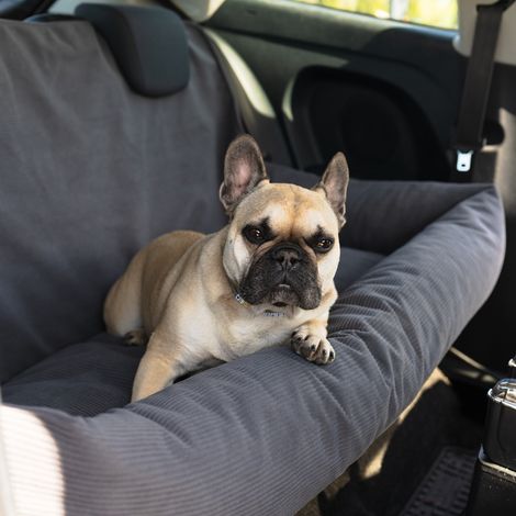 Extreme Cord Mokka Hundeautositz (1/4)