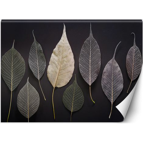 Fototapete Minimalismus Blätter Glamour-Pflanzen 100x70 cm (1/5)