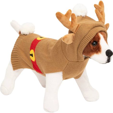 DG RENO PERRO JERSEY 3 TALLAS - Feeric lights & christmas (1/5)