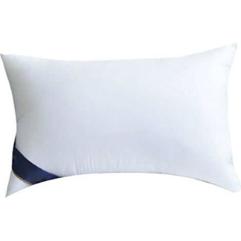 almohada, algodón, terciopelo de plumas, 48x74cm, blanca, hotel (1/5)