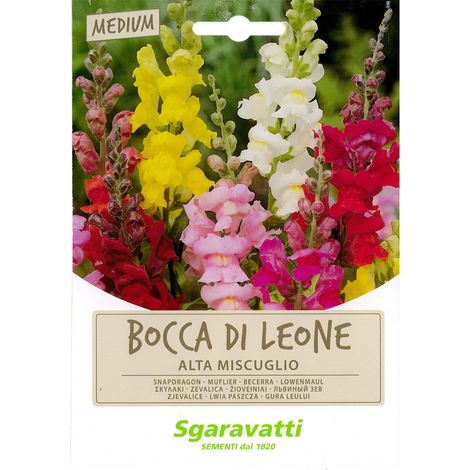 SEMI PER PRATO UNIVERSALE bocca di leone Q.TA 20 bocca di leone