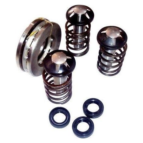 KIT PISTONI MOLLE CUSCINETTI TENUTE OLIO  ANNOVI REVERBERI 490 3082060 (1/2)