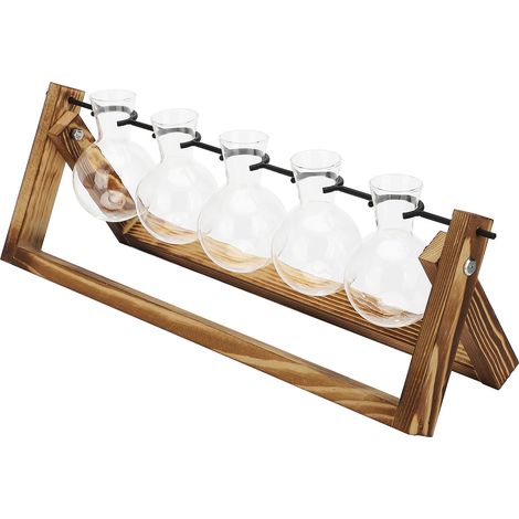 Maceta colgante hidropónica + 5 jarrones de cristal + marco de madera blanca – 41,5 cm x 14 cm – Ideal para el hogar, la oficina y como regalo. (1/5)