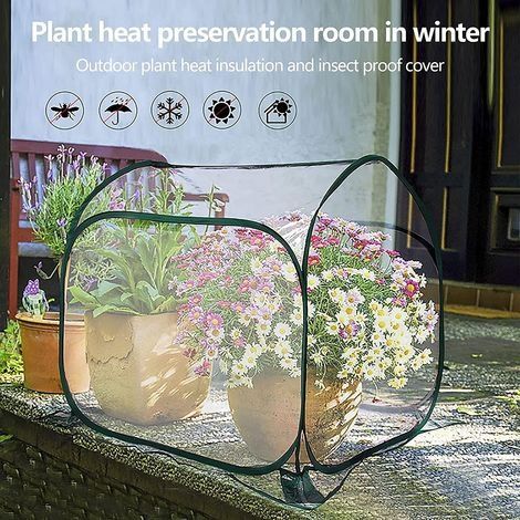 Mini-Pop-Up-Gewächshaus, PVC-Gewächshausabdeckung für drinnen und draußen, kleines tragbares Garten-Blumenhaus – 80 x 80 x 80 cm (1/4)