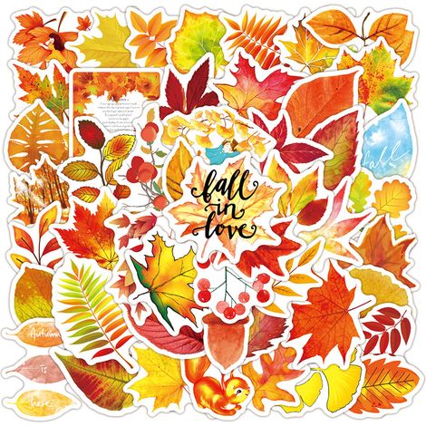 50 Autocollants, motifs automnaux, citrouille, dinde, feuille d'érable, décoration fête(Q3 : Nouveaux produits pour le mois d'août) (1/5)