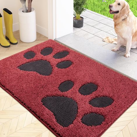 Paillasson Interieur 60 x 90 cm, Tapis d'Entrée Antidérapant et Lavable en Machine, Tapis de Sol Douces Absorbantes pour Chien, Entrée, Porte, Couloir (1/5)