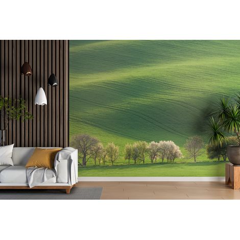 Papier peint campagne collines verdoyantes - 150 x 250 cm (1/2)