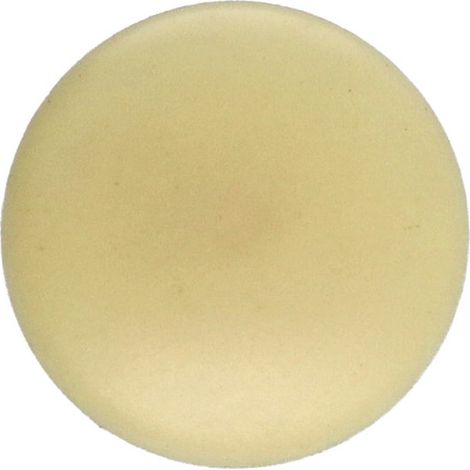Cache tête de vis Polyéthylène Diamètre de tête: 15 DT 3 Longueur 6 RAL1014 (1/2)