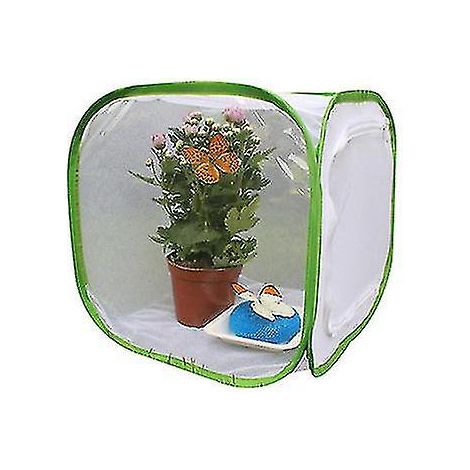 Filiyano-Cage à insectes pliable, trois tailles 303030 cm (1/2)