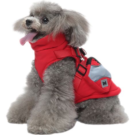 1 Veste chien, rembourrée coton, bandes réfléchissantes, ouverture laisse, hiver rouge (1/5)