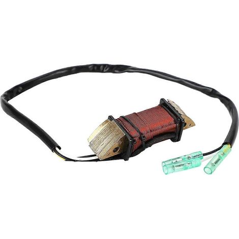 Bobine d'éclairage pour M 9.9 15 18 2002-2003-- (1/5)