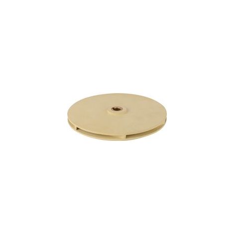 Turbine de pompe à eau en plastique PPO auto-amorçante Raccord inox 40mm Filetage plomberie Pour pompes submersibles (1/5)