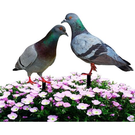 Pigeon Statue, 2D Realistic Dove Figurine - Artificial Imitation Fake Dove Garden Home Miniature Ornament Decoration (1/5)