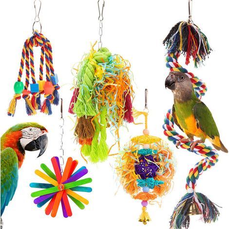 Jouets pour perroquets Jouets et accessoires pour cage de per (1/5)