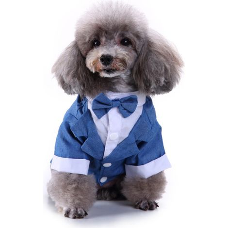 1 smoking pour chien, bleu, polyester, ajustable, adapté chat et chien, pour mariage et cérémonie (1/5)