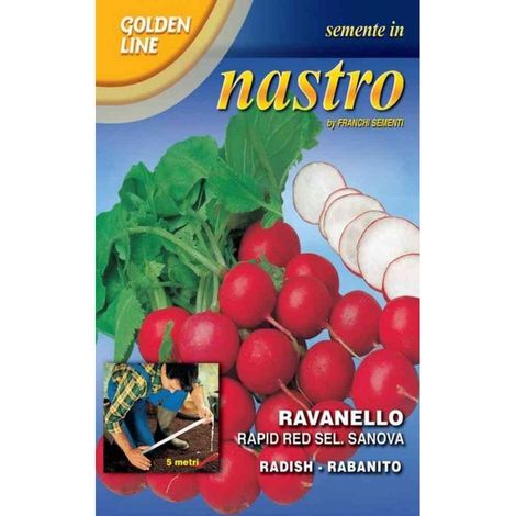 SEMI RAVANELLO RAPID RED SANOVA FRANCHI SEMENTI (1/2)