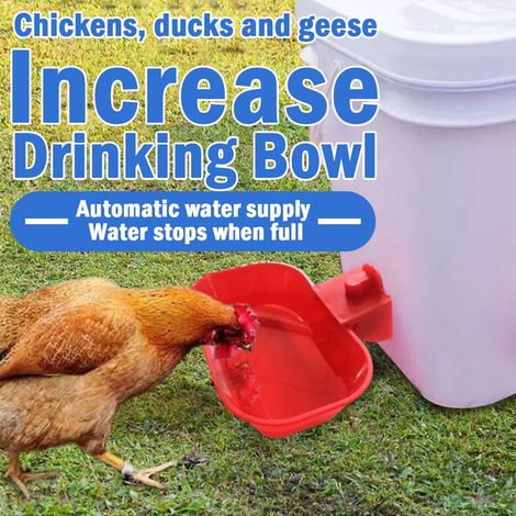 Abreuvoir automatique pour volaille 6 pièces, bol d'abreuvement pour poules, canards et oies, système d'alimentation en eau avec remplissage automatique (1/5)