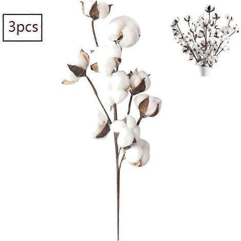 Natürliche, getrocknete Baumwollzweige (56 cm, 10 Köpfe) - Künstliche Farmblumen - Ideal zum Dekorieren von Blumenarrangements, für DIY-Projekte, für Zuhause und Partys. (1/5)