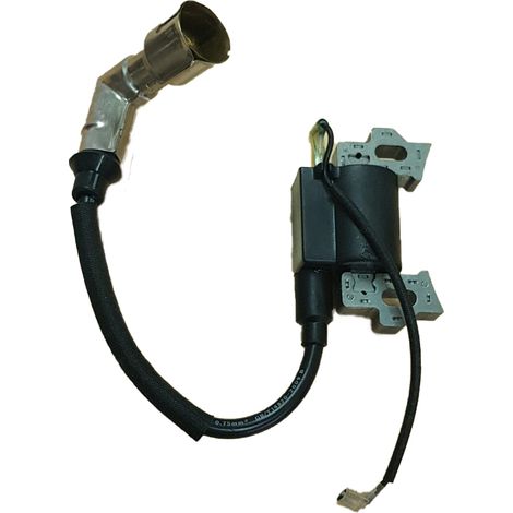 Bobina Encendido compatible con Sr1P65F, Sr55  Ref 974569