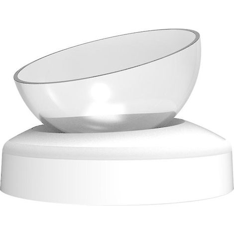 1 bol pour nourriture et eau (1/3)