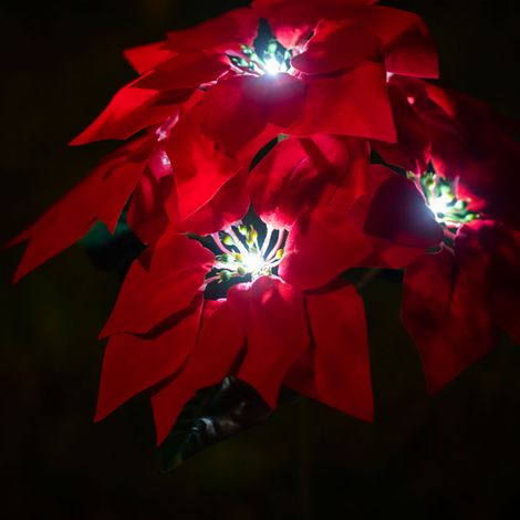 2er-Set Solar-Gartenleuchten, 5 LEDs, weißes Licht, Blumenstecker, Außendekoration, Party, Weihnachten, Landschaftsbeleuchtung (1/5)