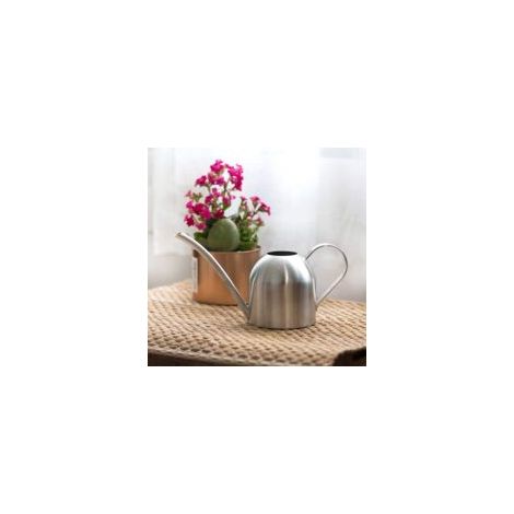 1000-ml-Gießkanne aus Edelstahl, Blumengießkanne, Metallgießkanne für Zimmerpflanzen und Garten, Silber - Crezuo