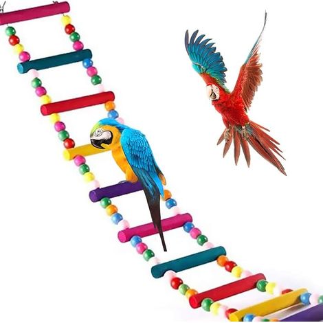 Jouets pour Perroquet, échelle, balançoire, Pont pour perroquets, perruches, Conures (1/5)