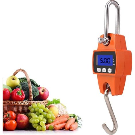 Échelle de grue - Mini échelle numérique portable LCD électronique suspendue Échelle de jeu Échelle de grue avec échelle 300 kg avec crochet pour valise de voyage, pêche, chasse en plein air, ferme(sa