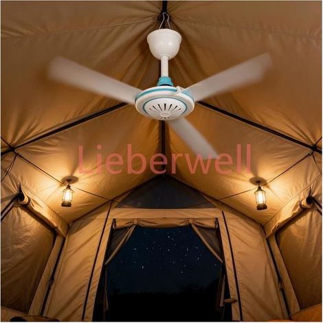 12V DC LIEBERWELL Portable Ceiling Fan, Quiet Mini Hanging Fan for Camping, Gazebo, Bedroom, Dorm, White and Blue (1/2)