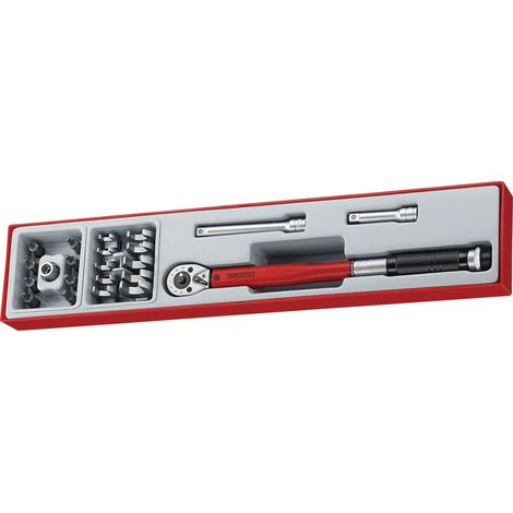 Set Teng Tools 22 pezzi chiavi dinamometriche 20-110 Nm