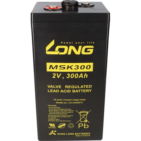 Kung Long MSK300 2Volt 300Ah AGM Blei Akku Pb (1/5)