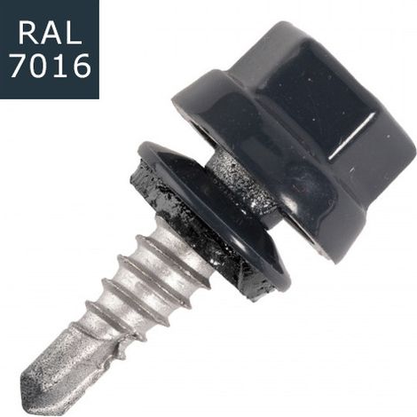 Vis bac acier SCELL-IT Plage métal IPN - Ø5.5 x 32 mm - TH12 - Anthracite RAL7016 - Sachet de 100 - ZTPR-55032-7016 (1/5)
