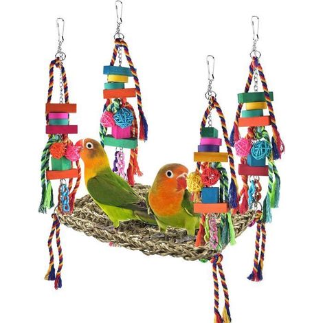 Ensemble balançoire et hamac d'escalade pour oiseaux – Jouets colorés pour perruches, calopsittes, conures soleil, inséparables et,u (1/4)