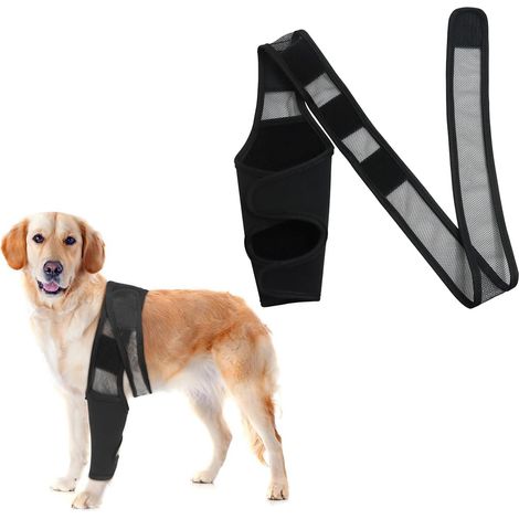 Hunde-Ellbogenschutz (1/5)