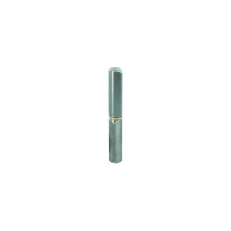 Paumelles à Souder 100mm Articulation Durable Pour Portes Métalliques - Vynex