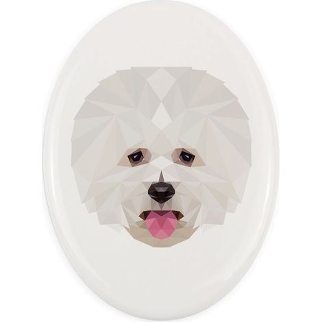 Bichón Frisé, perro de Tenerife: un plato con una foto y una inscripción geométrica de Art-Dog. (1/4)