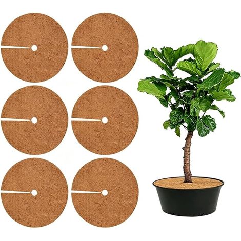 Tapis de Paillage en Fibre de Coco, Tapis de Coco Plantes, Protection en Noix de Coco, Protection Hivernale Résistante, Mauvaises Herbes Gel, Tapis en Coco pour Plante Pot Gazon (1/5)