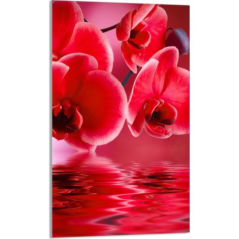 TABLA DE CORTAR DE VIDRIO 30x52 Orquídea (1/5)