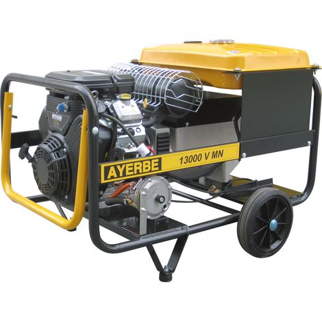 AYERBE - 5418005 - Générateur 13000 V MN - Monophasé à démarrage électrique Moteur Vanguard