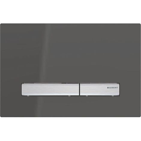 Betätigungsplatte Sigma 50 2-Mengen-Spülung schwarz 115788DW2
